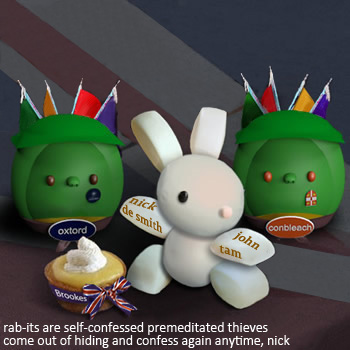 Kung Fu Rabbit Curry Cakes
